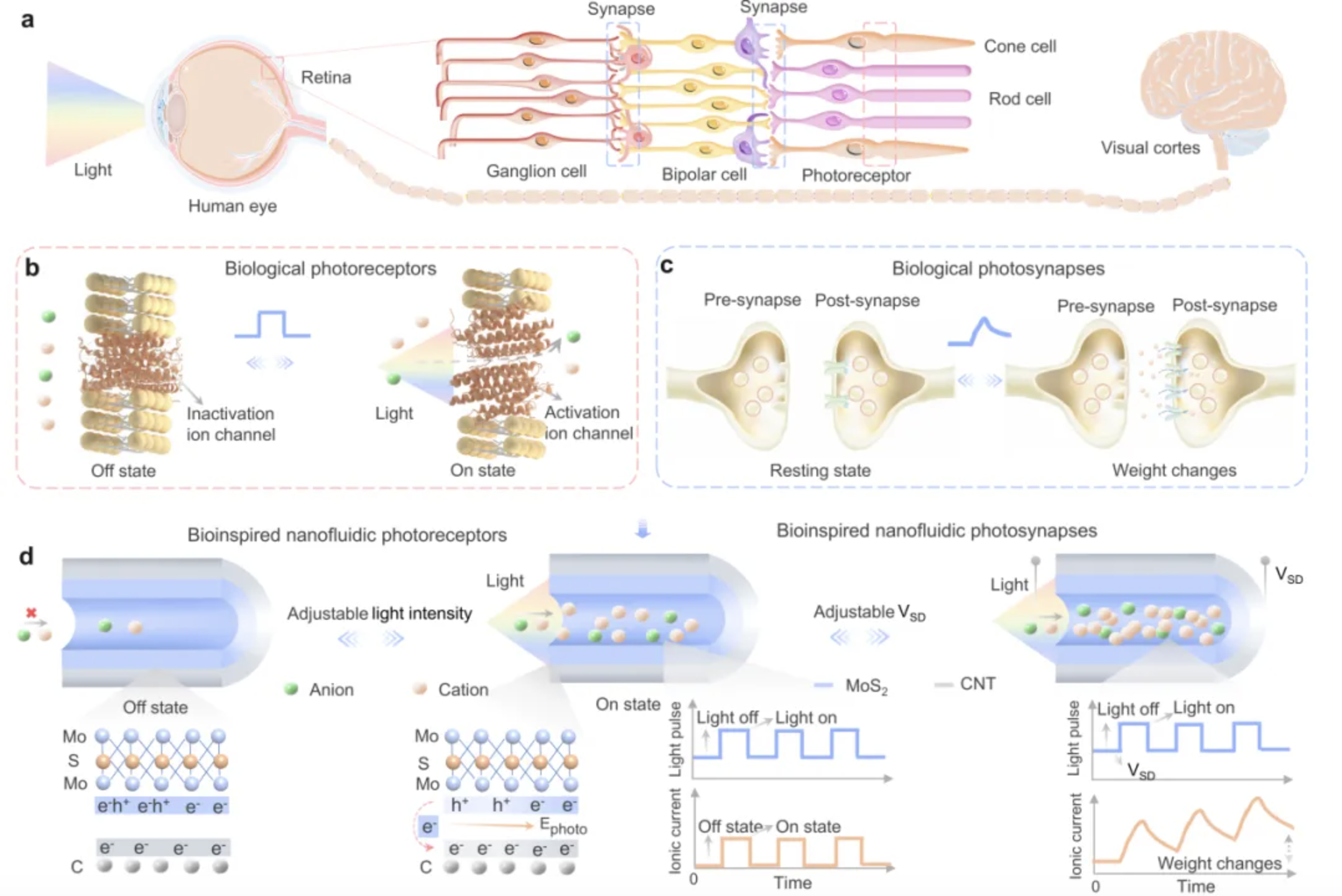 截屏2026-03-10 16.41.51.png